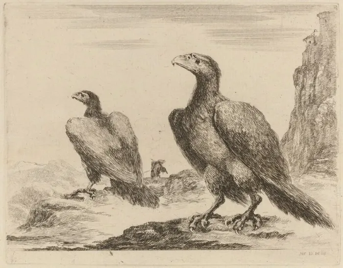 Framed Print : Two Eagles, Both with Heads Turned to the Left, On a High Cliff Framed Print : Two Eagles, Both with Heads Turned to the Left, On a High Cliff