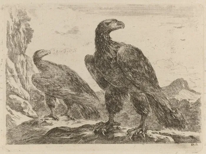 Framed Print : Two Eagles, Both with Heads Turned to the Right. Creator: Stefano della Bella Framed Print : Two Eagles, Both with Heads Turned to the Right. Creator: Stefano della Bella