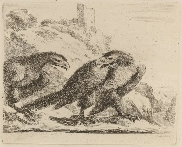 Framed Print : Two Eagles with Tower in Background. Creator: Stefano della Bella Framed Print : Two Eagles with Tower in Background. Creator: Stefano della Bella