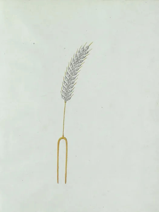 Framed Print : Ear of corn, c.1800-c.1810. Creator: Carl Friedrich Bärthel Framed Print : Ear of corn, c.1800-c.1810. Creator: Carl Friedrich Bärthel