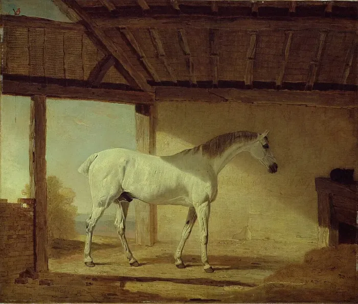 Framed Print : The Earl of Coventrys Horse, 1805. Creator: Benjamin Marshall Framed Print : The Earl of Coventrys Horse, 1805. Creator: Benjamin Marshall