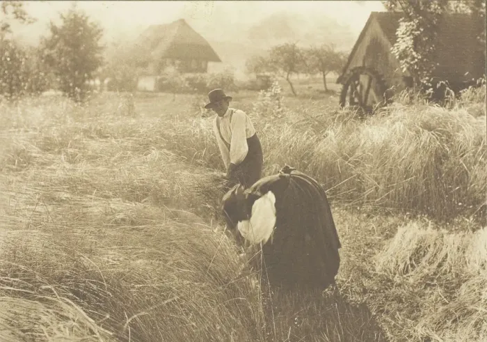 Framed Print : Early Morn, 1894. Creator: Alfred Stieglitz Framed Print : Early Morn, 1894. Creator: Alfred Stieglitz