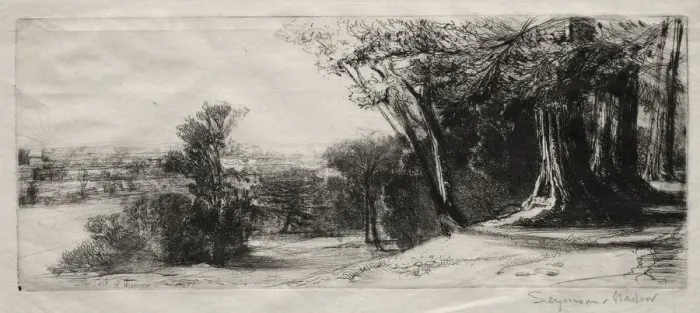 Framed Print : Early Morning, Richmond Park. Creator: Francis Seymour Haden (British, 1818-1910) Framed Print : Early Morning, Richmond Park. Creator: Francis Seymour Haden (British, 1818-1910)