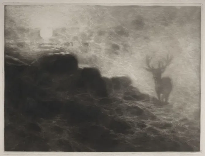 Framed Print : An Early Riser, 1897. Creator: Francis Seymour Haden (British, 1818-1910) Framed Print : An Early Riser, 1897. Creator: Francis Seymour Haden (British, 1818-1910)