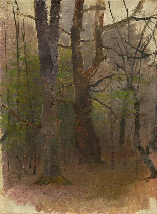 Framed Print : Early Spring. Forest, 1876 - 1877. Creator: Ladislav Mednyanszky Framed Print : Early Spring. Forest, 1876 - 1877. Creator: Ladislav Mednyanszky