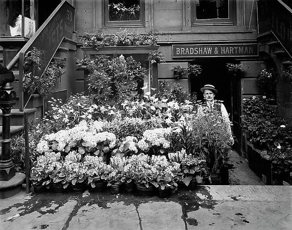 An Easter floral display, New York, between 1900 and 1905. Creator: Unknown