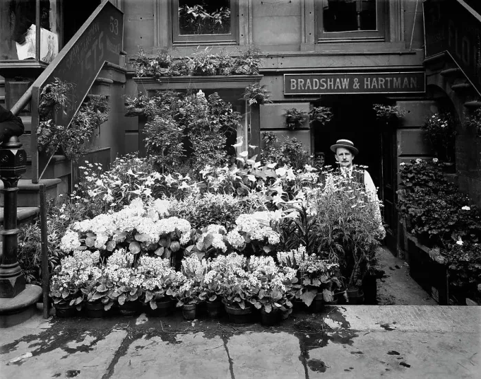 Framed Print : An Easter floral display, New York, between 1900 and 1905. Creator: Unknown Framed Print : An Easter floral display, New York, between 1900 and 1905. Creator: Unknown