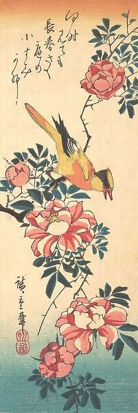 Eastern Grey Wagtail and Rose, early 1830s. early 1830s. Creator: Ando Hiroshige