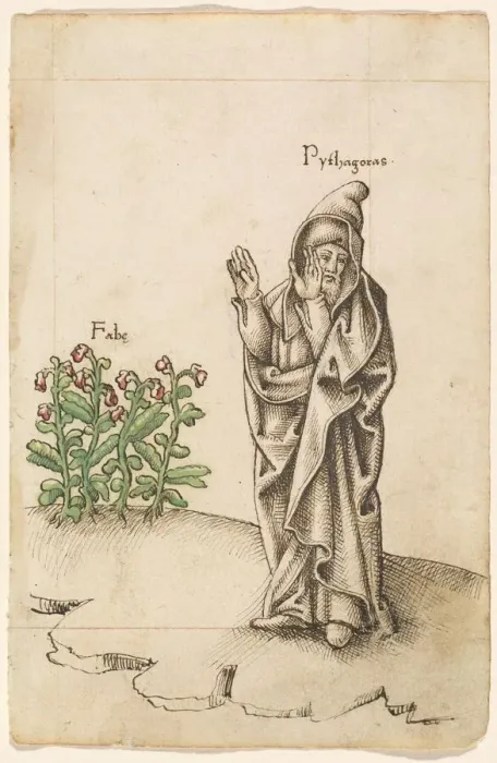 Framed Print : Do Not Eat Beans [fol. 25 recto], 1512  /  1514. Creator: Unknown