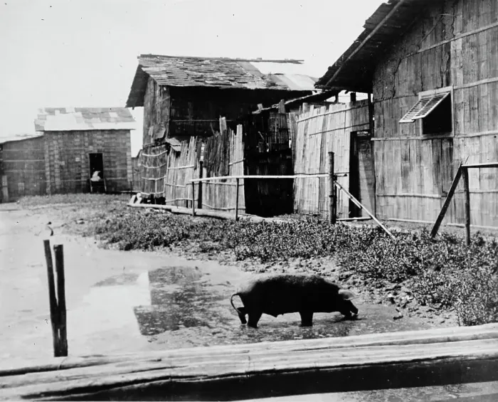 Framed Print : Ecuador - Scenes In Quayaquil, Ecuador, 1912. Creator: Harris & Ewing. Ecuador - Scenes In Quayaquil, Ecuador, 1912. Creator: Harris & Ewing Framed Print : Ecuador - Scenes In Quayaquil, Ecuador, 1912. Creator: Harris & Ewing. Ecuador - Scenes In Quayaquil, Ecuador, 1912. Creator: Harris & Ewing