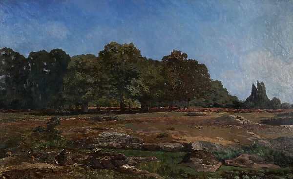 Edge of the forest of Fontainebleau, 1865. Creator: Alfred Sisley