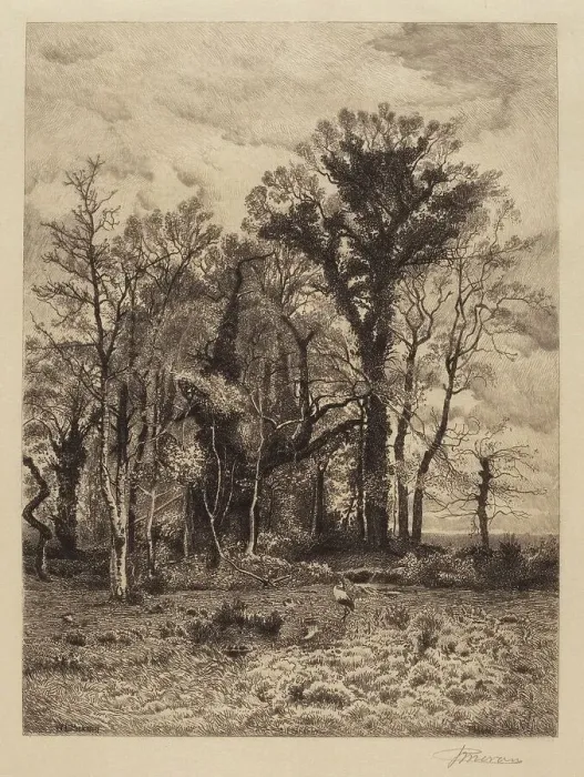 Framed Print : The Edge of the Swamp, 1886. Creator: Peter Moran Framed Print : The Edge of the Swamp, 1886. Creator: Peter Moran