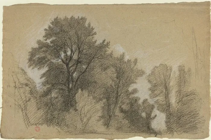 Framed Print : Edge of a Wood, c. 1840. Creator: Jean Achille Benouville Framed Print : Edge of a Wood, c. 1840. Creator: Jean Achille Benouville