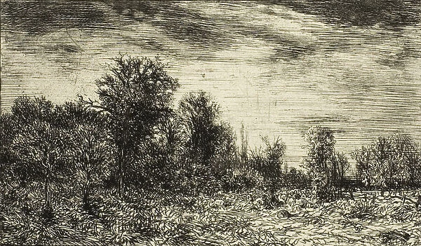 Edge of a Wood, under Cloudy Sky, 1846. Creator: Charles Emile Jacque