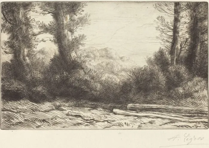 Framed Print : Edge of a Wood (Lisiere de bois). Creator: Alphonse Legros Framed Print : Edge of a Wood (Lisiere de bois). Creator: Alphonse Legros