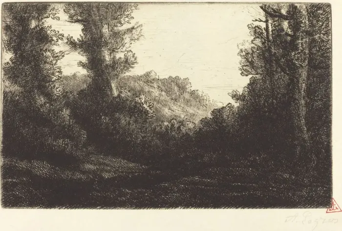 Framed Print : Edge of a Wood (Lisiere de bois). Creator: Alphonse Legros Framed Print : Edge of a Wood (Lisiere de bois). Creator: Alphonse Legros