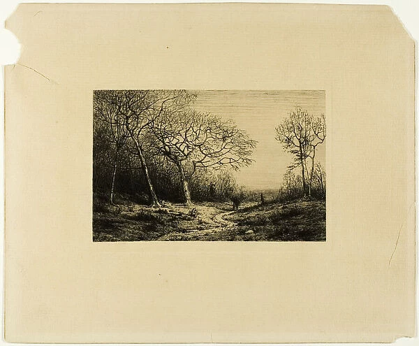 Edge of a Wood, n. d. Creator: Charles Emile Jacque