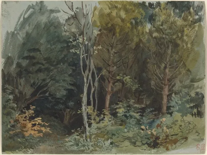 Framed Print : The Edge of a Wood at Nohant, c. 1842 / 1843. Creator: Eugene Delacroix Framed Print : The Edge of a Wood at Nohant, c. 1842 / 1843. Creator: Eugene Delacroix