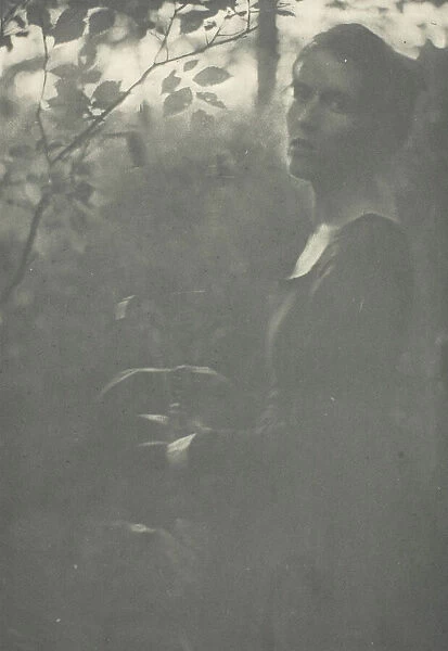 Edge of Woods, c. 1899. Creator: Clarence H White