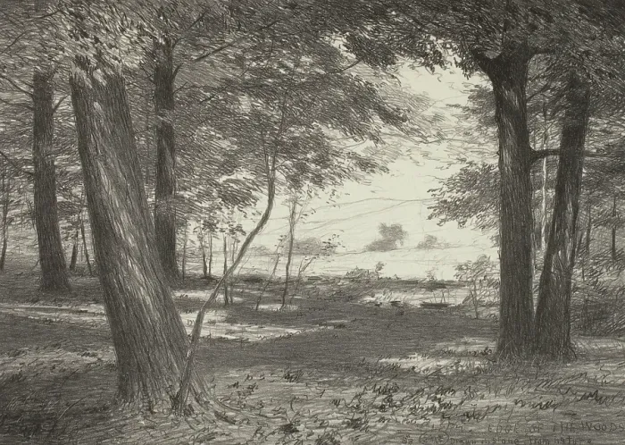 Framed Print : Edge of the Woods, c1920s. Creator: Bolton Coit Brown Framed Print : Edge of the Woods, c1920s. Creator: Bolton Coit Brown