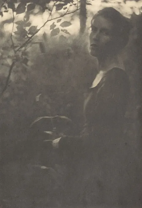 Framed Print : Edge of the Woods, Evening, 1900. Creator: Clarence H White Framed Print : Edge of the Woods, Evening, 1900. Creator: Clarence H White