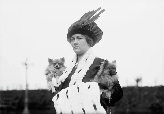 Framed Print : Edith Stone & Tuxedo Marvel, between c1910 and c1915. Creator: Bain News Service Framed Print : Edith Stone & Tuxedo Marvel, between c1910 and c1915. Creator: Bain News Service