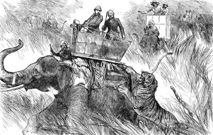 Framed Print : Edward, Prince of Wales, hunting tiger during his state visit to India in 1876 Framed Print : Edward, Prince of Wales, hunting tiger during his state visit to India in 1876