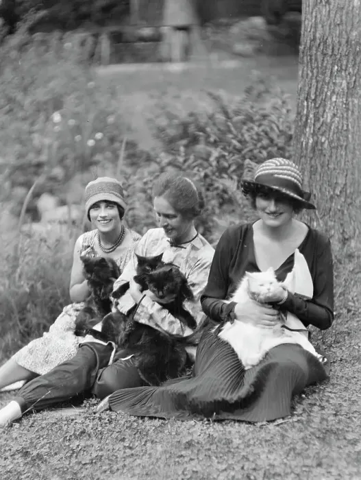 Framed Print : Egger, Gabrielle, Miss, and friends, with cats, seated outdoors, between 1926 and 1930. Creator: Arnold Genthe Framed Print : Egger, Gabrielle, Miss, and friends, with cats, seated outdoors, between 1926 and 1930. Creator: Arnold Genthe