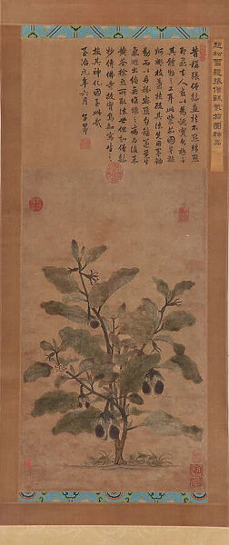 Eggplant, Ming dynasty, 1368-1644. Creator: Unknown