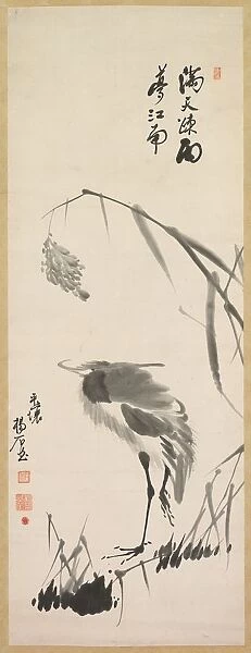 Egret and Reeds, late 1800s. Creator: Yang Ki-hun (Seuk-Eun) (Korean, 1843-1919?)