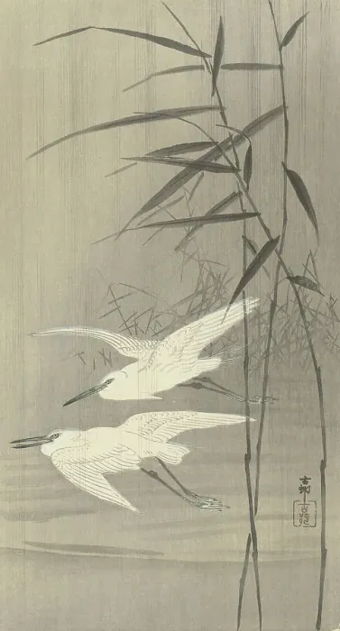 Framed Print : Two egrets in flight, Between 1910 and 1920. Creator: Ohara, Koson (1877-1945) Framed Print : Two egrets in flight, Between 1910 and 1920. Creator: Ohara, Koson (1877-1945)