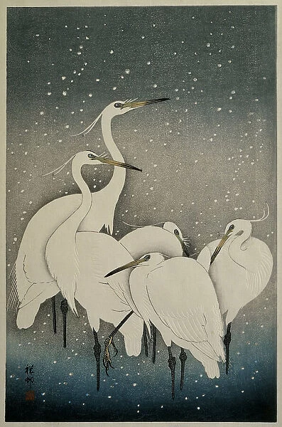 Egrets in the snow, 1925-1936. Creator: Ohara, Koson (1877-1945)
