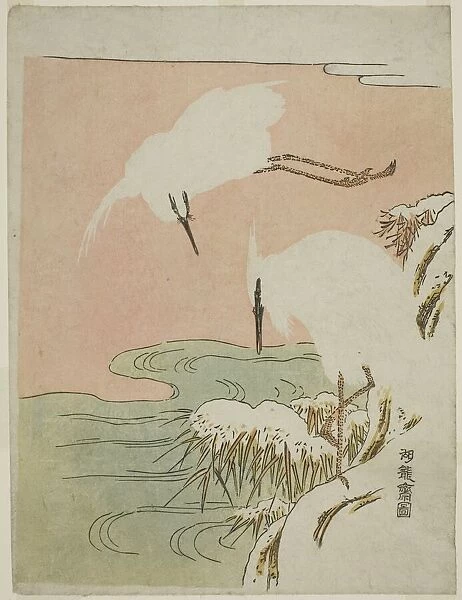 Two Egrets in the Snow, c. 1773. Creator: Isoda Koryusai