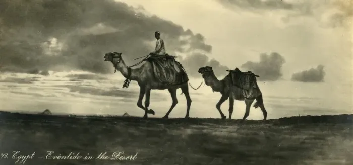 Framed Print : Egypt - Eventide in the Desert, c1918-c1939. Creator: Unknown Framed Print : Egypt - Eventide in the Desert, c1918-c1939. Creator: Unknown