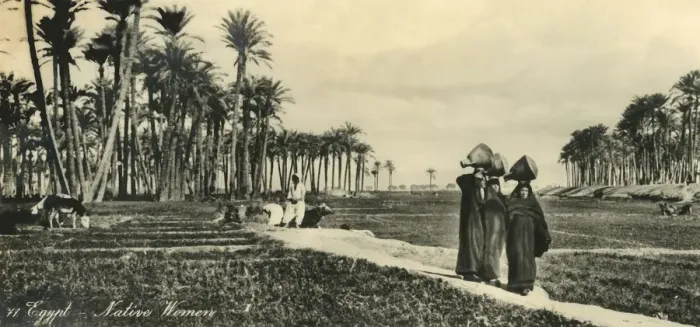 Framed Print : Egypt - Native Women, c1918-c1939. Creator: Unknown Framed Print : Egypt - Native Women, c1918-c1939. Creator: Unknown