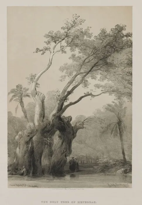 Framed Print : Egypt and Nubia, Volume III: The Holy Tree of Metereah, 1849. Creator: Louis Haghe (British Framed Print : Egypt and Nubia, Volume III: The Holy Tree of Metereah, 1849. Creator: Louis Haghe (British