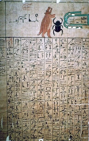 Egyptian hieroglyphs from a Book of the Dead