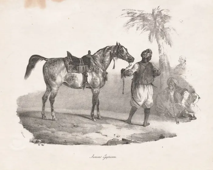Framed Print : Egyptian Mare, 1822. Creator: Theodore Gericault (French, 1791-1824) Framed Print : Egyptian Mare, 1822. Creator: Theodore Gericault (French, 1791-1824)