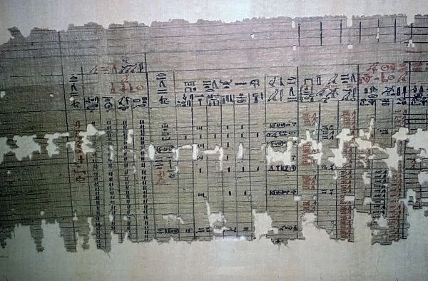Egyptian monthly accounts from the archive of a temple