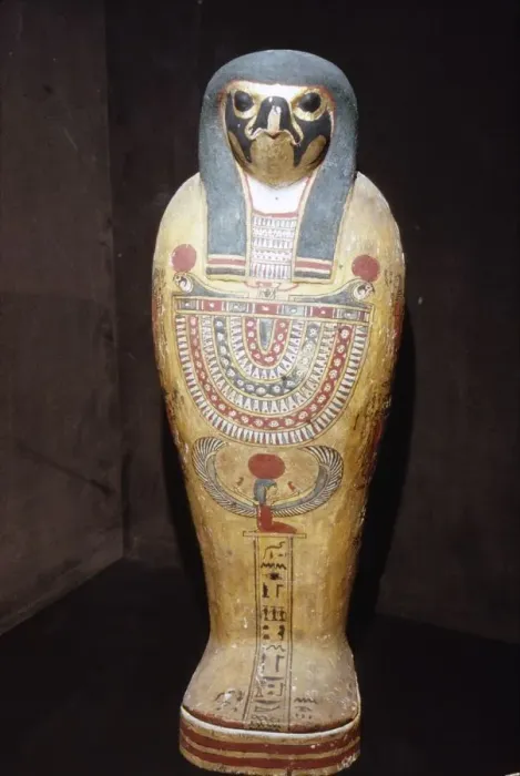 Framed Print : Egyptian Mummy of a Hawk representing Horus, c1st century BC-1st century Framed Print : Egyptian Mummy of a Hawk representing Horus, c1st century BC-1st century