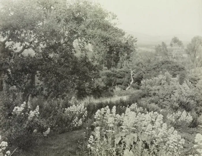 Framed Print : El Cerrito, Edward Larned Ryerson Jr. house, Hot Springs Road, Santa Barbara, California, 1917. Creator: Frances Benjamin Johnston. El Cerrito, Edward Larned Ryerson Jr. house, Hot Springs Road, Santa Barbara, California, 1917 Framed Print : El Cerrito, Edward Larned Ryerson Jr. house, Hot Springs Road, Santa Barbara, California, 1917. Creator: Frances Benjamin Johnston. El Cerrito, Edward Larned Ryerson Jr. house, Hot Springs Road, Santa Barbara, California, 1917