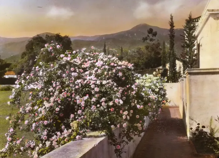 Framed Print : El Fureidis, James Waldron Gillespie house, Parra Grande Lane, Montecito, California, 1917. Creator: Frances Benjamin Johnston. El Fureidis, James Waldron Gillespie house, Parra Grande Lane, Montecito, California, 1917 Framed Print : El Fureidis, James Waldron Gillespie house, Parra Grande Lane, Montecito, California, 1917. Creator: Frances Benjamin Johnston. El Fureidis, James Waldron Gillespie house, Parra Grande Lane, Montecito, California, 1917