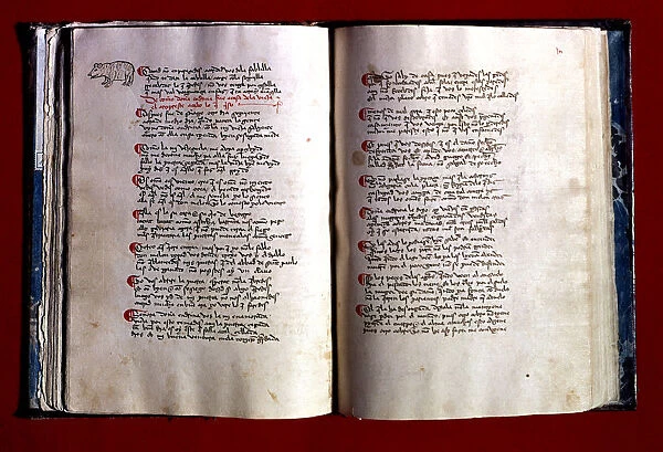 El Libro del Buen Amor (The Book of Good Love), work by Archpriest of Hita