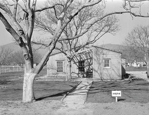 El Monte federal subsistence homesteads, California, 1936. Creator: Dorothea Lange