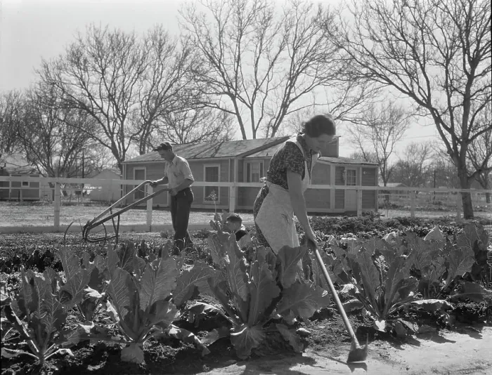 Framed Print : El Monte federal subsistence homesteads, California, 1936. Creator: Dorothea Lange Framed Print : El Monte federal subsistence homesteads, California, 1936. Creator: Dorothea Lange