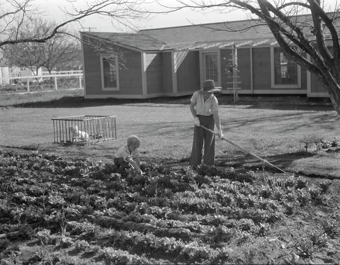 Framed Print : El Monte federal subsistence homesteads, California, 1936. Creator: Dorothea Lange Framed Print : El Monte federal subsistence homesteads, California, 1936. Creator: Dorothea Lange