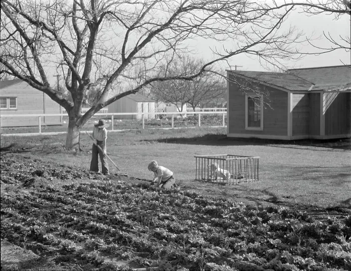 Framed Print : El Monte federal subsistence homesteads, California, 1936. Creator: Dorothea Lange Framed Print : El Monte federal subsistence homesteads, California, 1936. Creator: Dorothea Lange