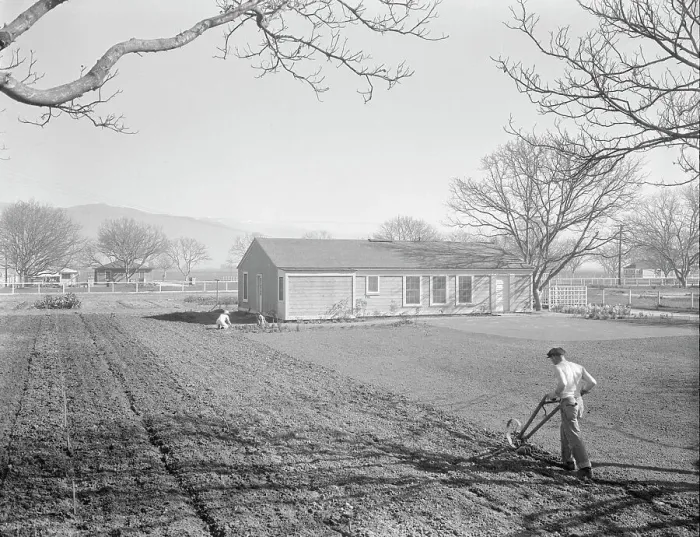 Framed Print : El Monte federal subsistence homesteads, California, 1936. Creator: Dorothea Lange Framed Print : El Monte federal subsistence homesteads, California, 1936. Creator: Dorothea Lange