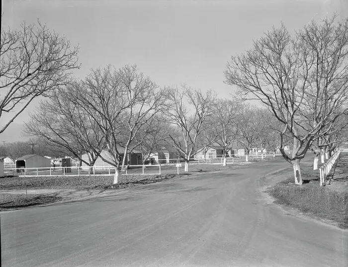 Framed Print : El Monte federal subsistence homesteads, California, 1936. Creator: Dorothea Lange Framed Print : El Monte federal subsistence homesteads, California, 1936. Creator: Dorothea Lange