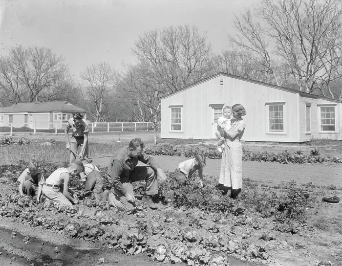 Framed Print : El Monte federal subsistence Homesteads, California, 1936. Creator: Dorothea Lange